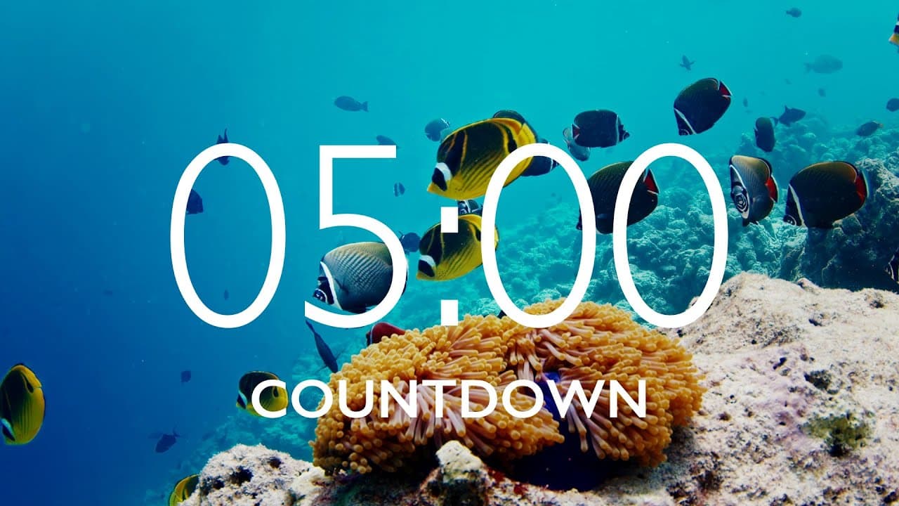 5 Minute Timer with Relaxing Music and Alarm – Underwater Background