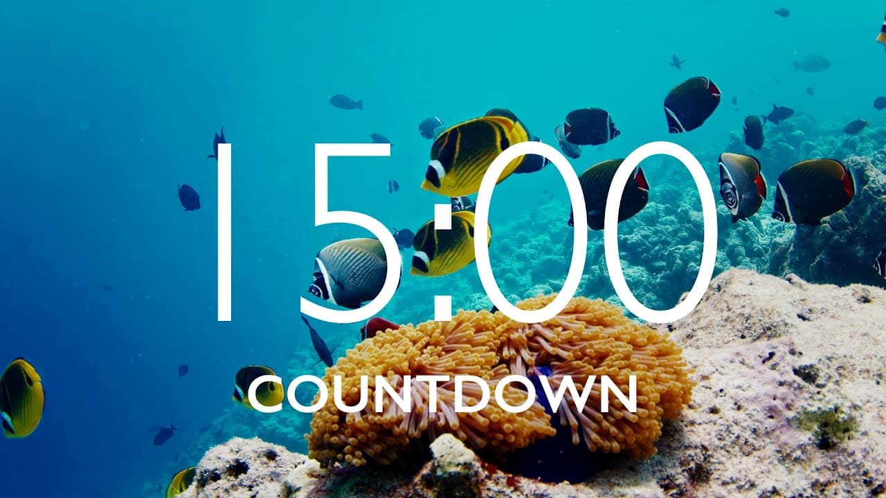 15 Minute Timer with Relaxing Music and Alarm – Underwater Background
