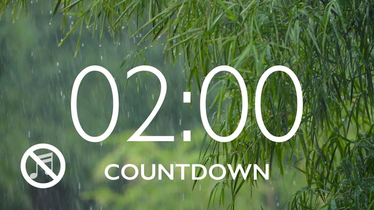2 Minute Timer with Rain Sounds and Alarm