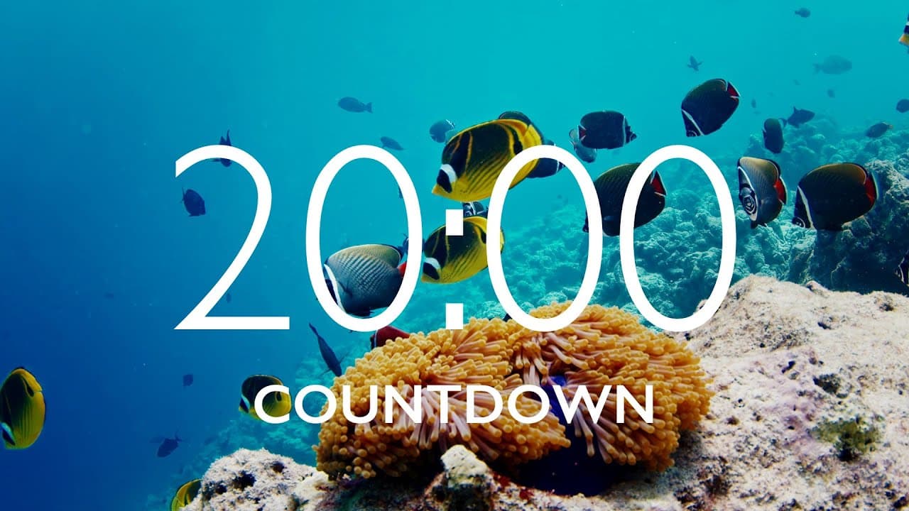 20 Minute Timer with Relaxing Music and Alarm – Underwater Background